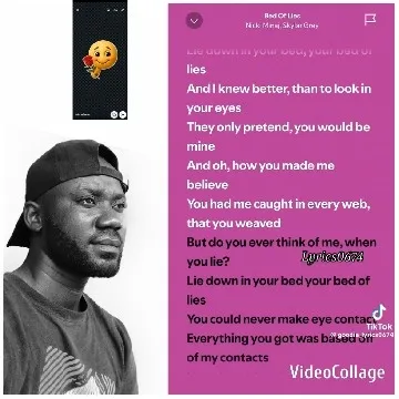 Bed Of Lies Lyrics on Pink Background