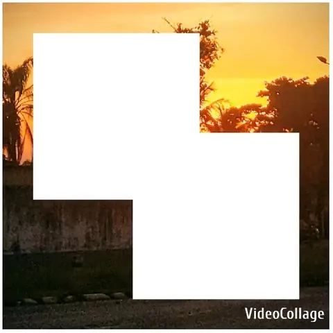 Sunset Silhouette with Trees