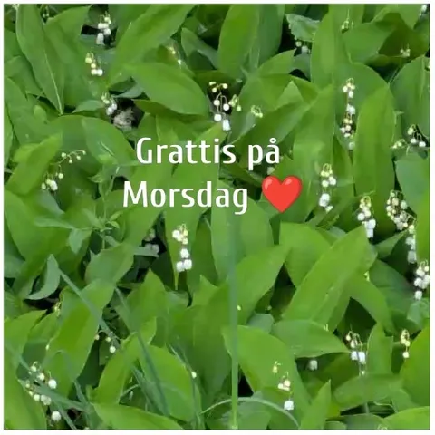 Happy Mother's Day Celebration