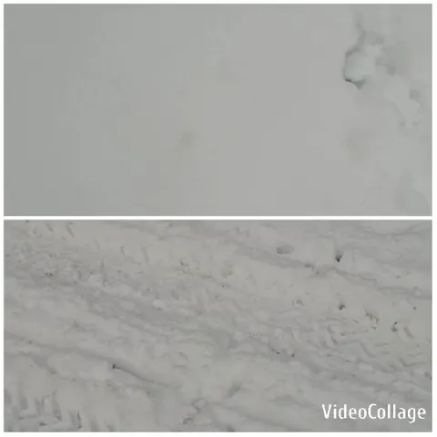 Snowy Surface with Footprints and Tracks