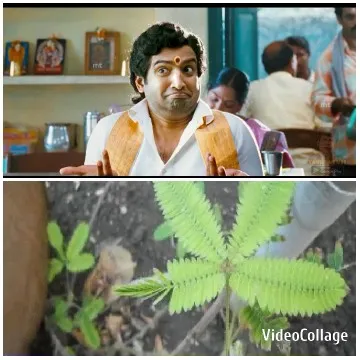 Surprised Man Indoors with Green Plant
