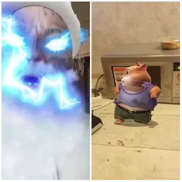Magic Effect with Hamster