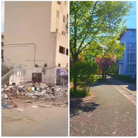 Contrasting Urban Environments