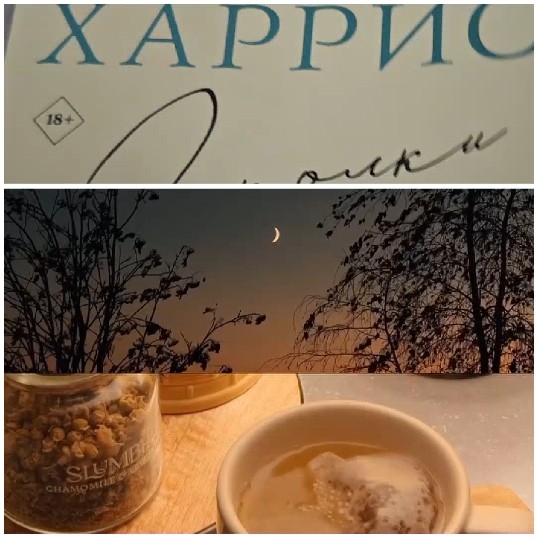 Book Cover and Evening Tea