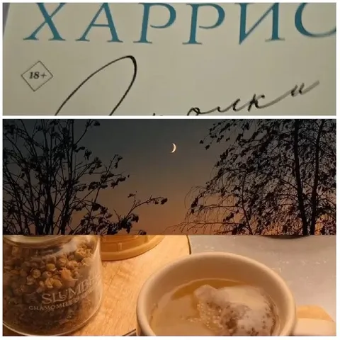 Book Cover and Evening Tea