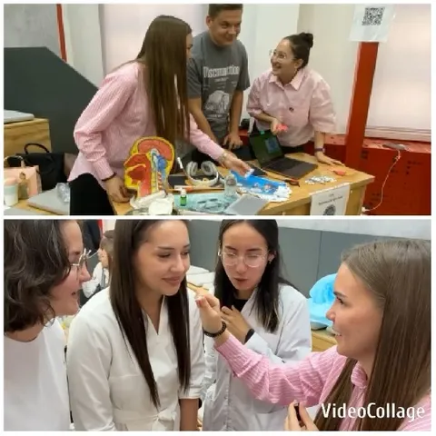 Group Engaged in Learning Together