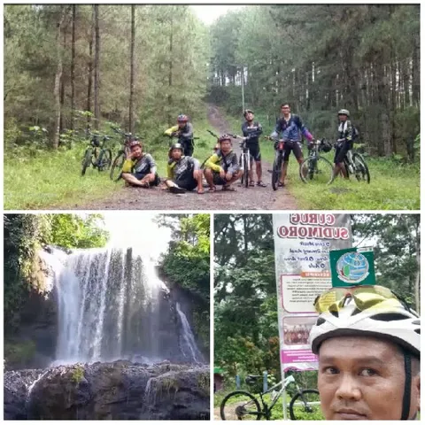 Cyclists in Forest and Waterfall
