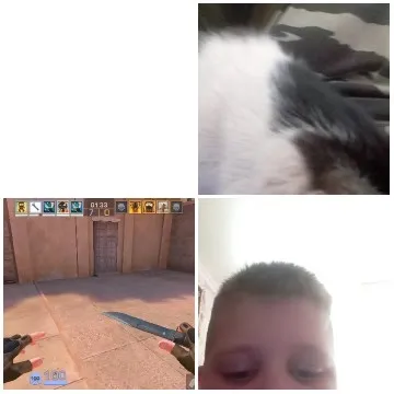 Cat, Gamer, and Child Moments