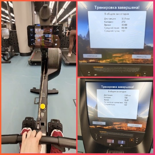 Rowing Machine Workout with Statistics