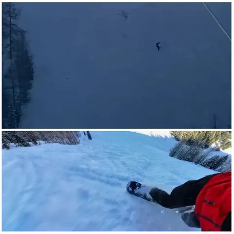 Skiing Down a Snowy Slope