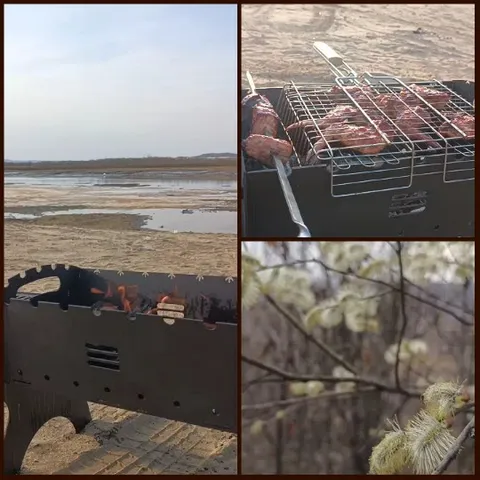 Grilling Meat by the Water