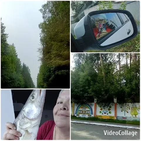 Selfie in Car Mirror with Trees