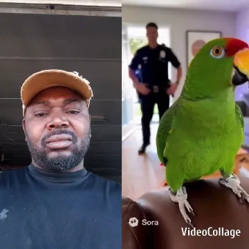 Man and Parrot in Room