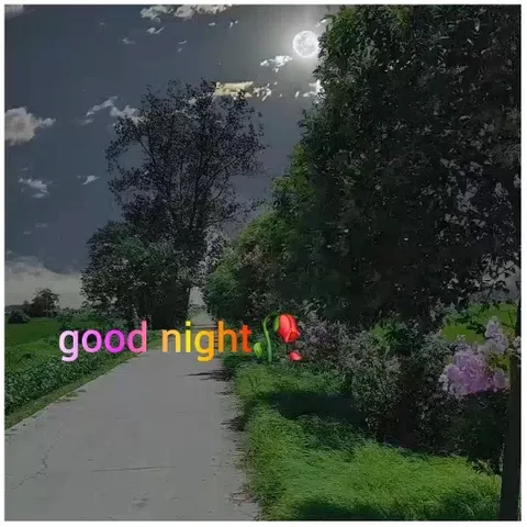 Scenic Nighttime Pathway and Moon
