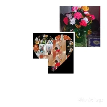 Heart-Shaped Collage of Small Images