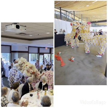 Lion Dance Performance Scenes