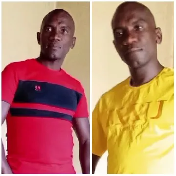 Person in Different Colored Shirts