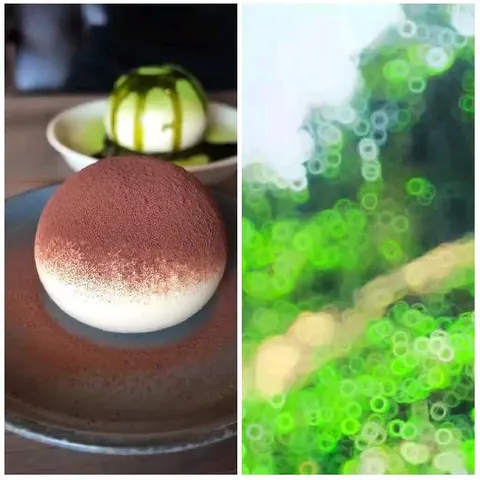 Dessert Plate with Bokeh Effect