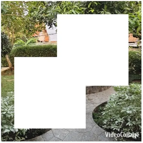Garden Pathway Surrounded by Plants