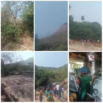 Nature Scenes and Group Activities