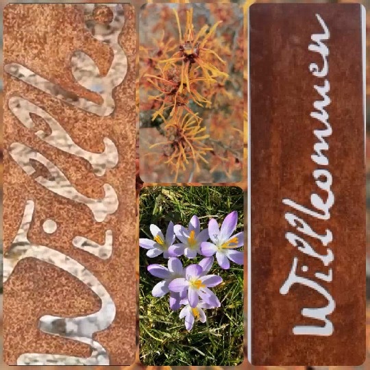 Decorative Signs and Colorful Flowers