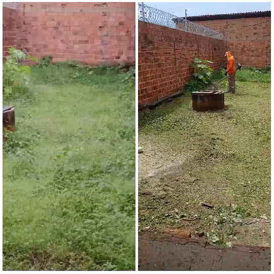 Grassy Area Before and After Trimming
