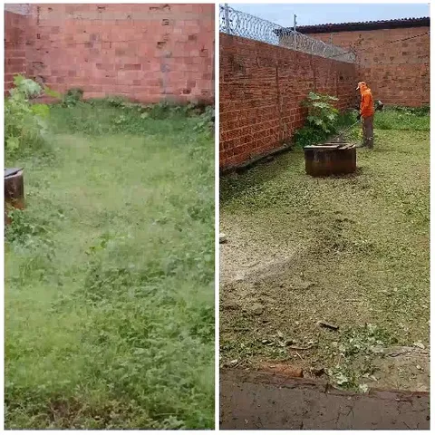 Grassy Area Before and After Trimming