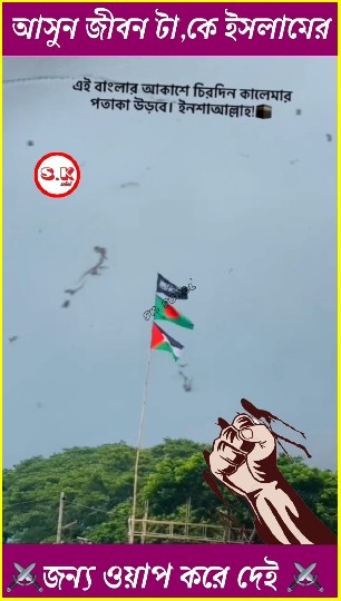 Flags Against Blue Sky
