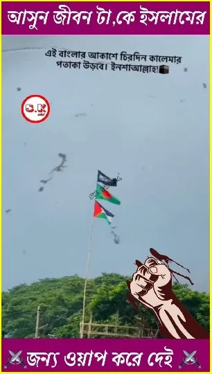 Flags Against Blue Sky
