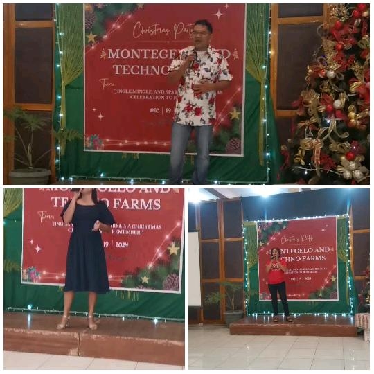 Christmas Party Performances on Stage