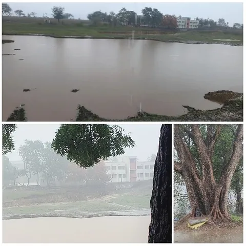 Scenic Water and Misty Trees
