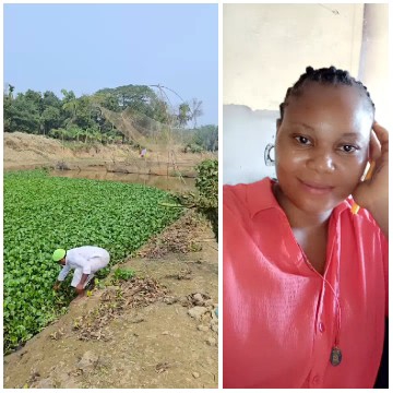 Working in Green Fields