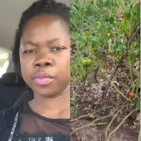 Neutral Expression and Garden Scene