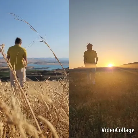 Person in Wheat Field and Sunset