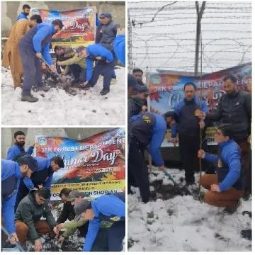 Planting Trees in Snowy Area