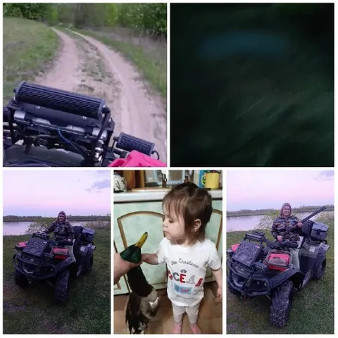 Nature Path and Child with Duck