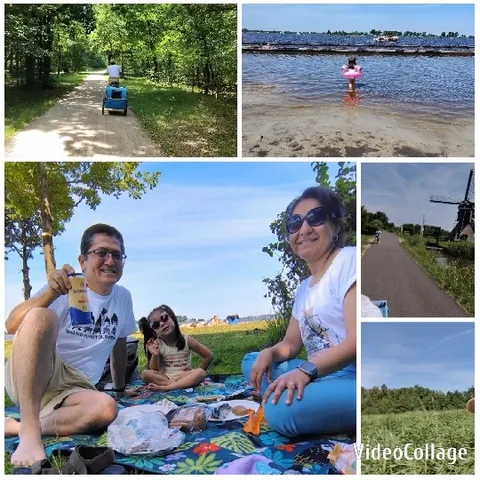 Cart Pulling and Family Picnic
