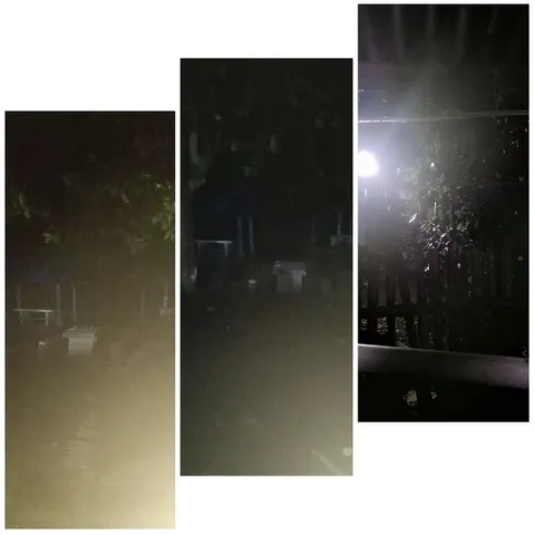 Nighttime Outdoor Scene with Light