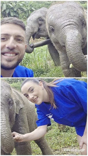 Selfies with Elephants Outdoors