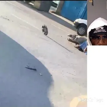 Detached Wheel Rolling on Street