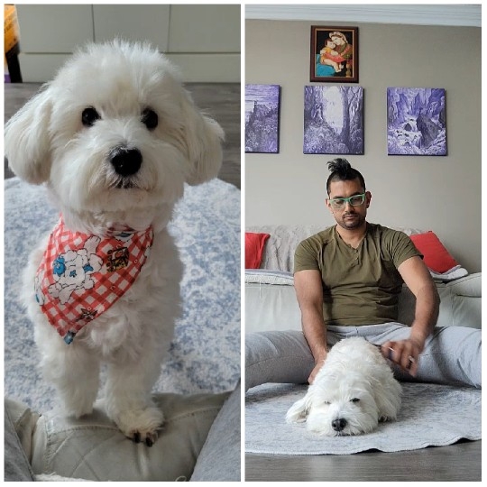 Dog with Bandana and Relaxing Owner