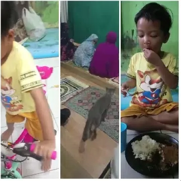 Child with Toy Bike and Gathering