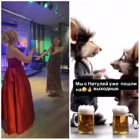 Evening Gowns and Cartoon Animals