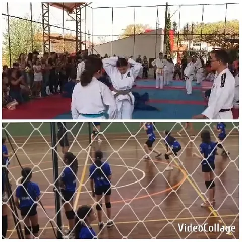 Martial Arts and Volleyball Events