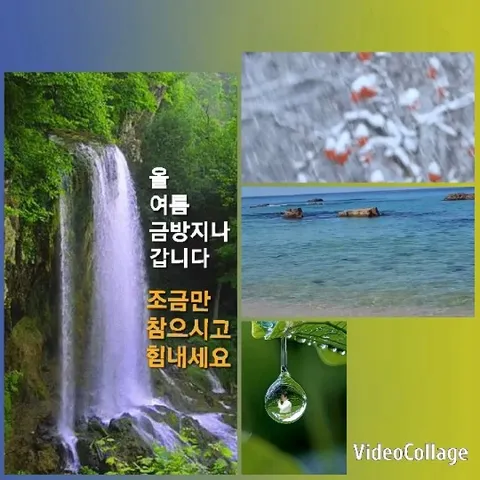 Waterfall Flowing into Ocean Scene