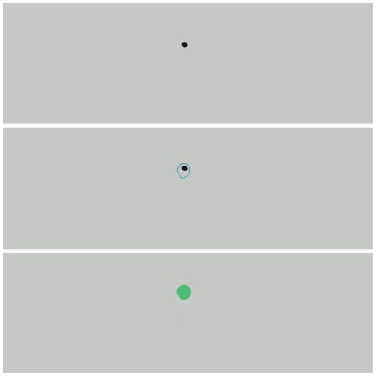 Colored Dots on Gray Background