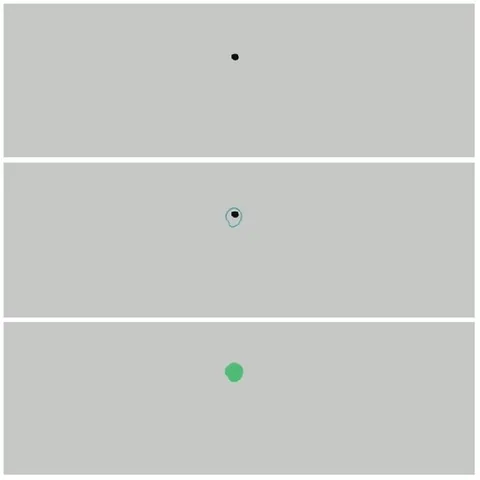 Colored Dots on Gray Background