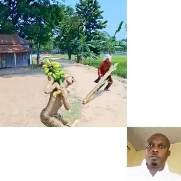 Carrying Bananas on a Sunny Day