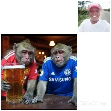 Monkeys in Sports Jerseys